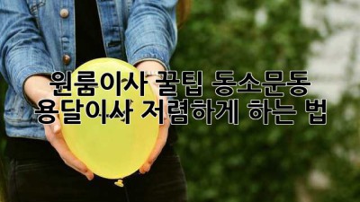 원룸이사 꿀팁🍯 동소문동 용달이사 저렴하게 하는 법!