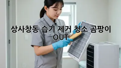 상사창동 습기 제거 청소, 곰팡이 OUT! 🏠✨