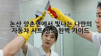 논산 양촌면에서 빛나는 나만의 자동차, 시트 청소 완벽 가이드